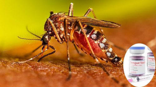 Inicia la primera vacunación masiva contra el Dengue en Dourados, Brasil