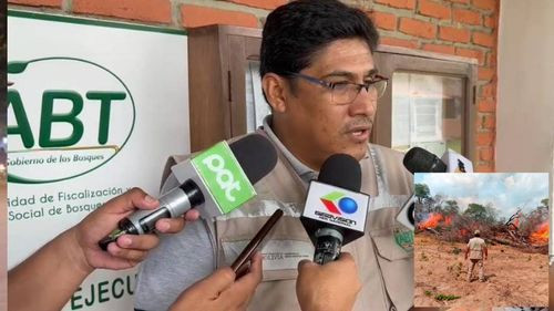 Informe sobre Incendios: Múltiples focos en Bolivia, con acciones legales en curso