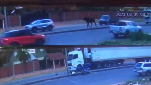 Motociclista pierde la vida tras embestida de toro en avenida Virgen de Cotoca