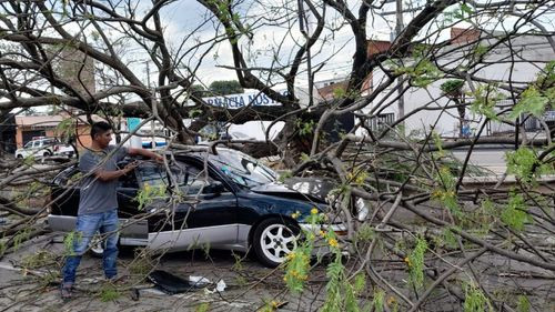 Cae árbol sobre un vehículo por fuertes vientos