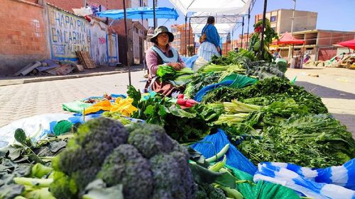 Los huertos urbanos en El Alto aportan a la soberanía alimentaria familiar 