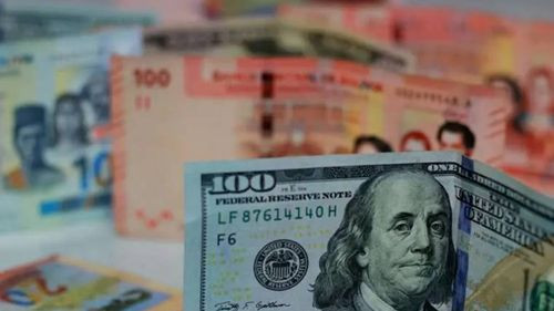  El Dólar en Bolivia: Precios en aumento y falta de soluciones 