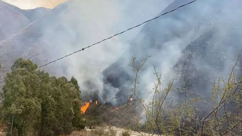 Confirman deceso de un joven en incendio forestal en Tarija