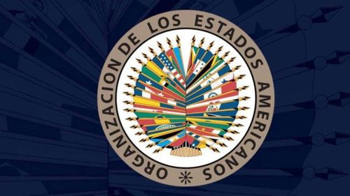  Sin participación de Bolivia, la OEA adopta resolución que pide a Venezuela publicar actas de votación y verificación imparcial