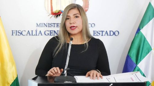 Bolivia registra más de 30 mil casos de violencia