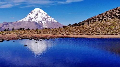 Parque Sajama, el oasis altiplánico