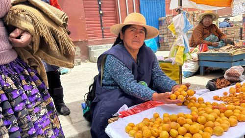 “La Feria del Campo a la Ciudad” tendrá desde frutas, verduras, legumbres, vinos y carnes