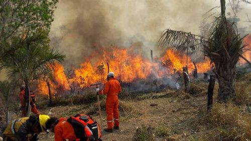 Emergencia por Incendios: Desesperación en el Norte Paceño y Beni ante la Devastación