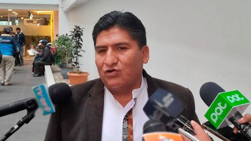 Diputado del MAS afirma que video de Evo Morales es un montaje y pide investigación internacional