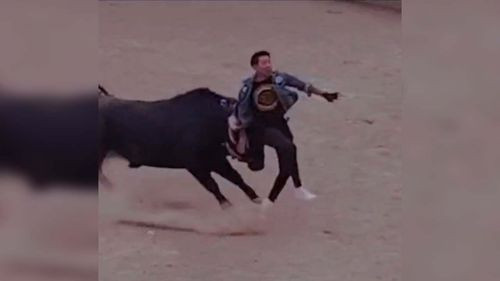 Tres Heridos, Uno en Terapia Intensiva, en Corrida de Toros en Oruro - Challapata