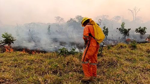 Bolivia declara emergencia nacional tras devastadores incendios forestales