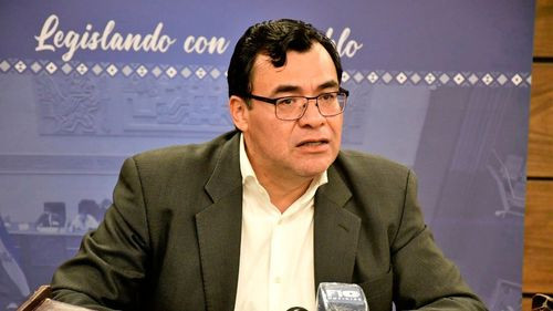 Diputado Jerges Mercado exhorta al Senado a aprobar ley que suspende primarias para garantizar elecciones judiciales