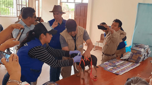 Roboré implementa collares y mosquiteros para prevenir la leishmaniasis