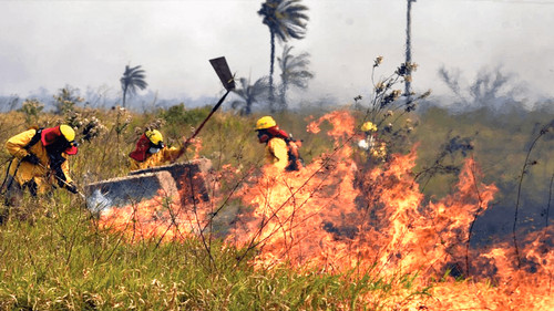 Bolivia y Brasil unen fuerzas para combatir incendios en la frontera