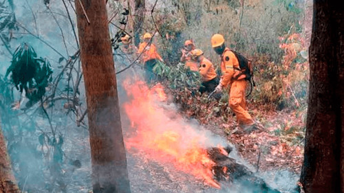 Iglesia hace un llamado a salvar al país de los incendios