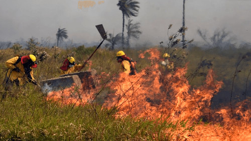 Condenado a tres años de cárcel por provocar incendios en Guarayos