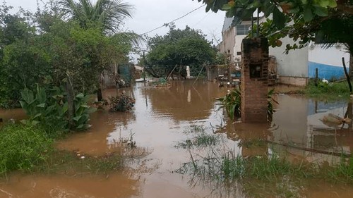 Lluvia en Cuatro Cañadas “Despertamos bajo el agua, la pérdida ha sido total”