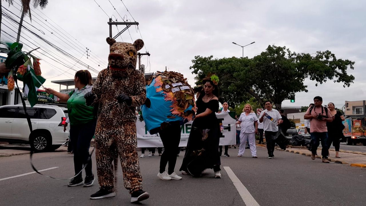 Marcha de FESIRMES.jpg